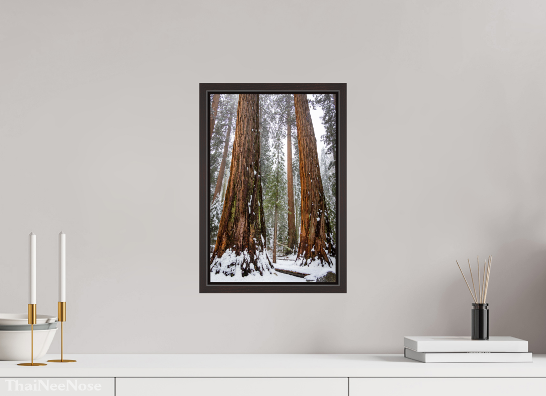 10 x 15″, Alder Brown Wooden Floater Frame Sequoia Trees