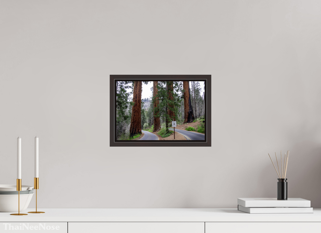 12 x 8″, Alder Brown Wooden Floater Frame Sequoia Trees
