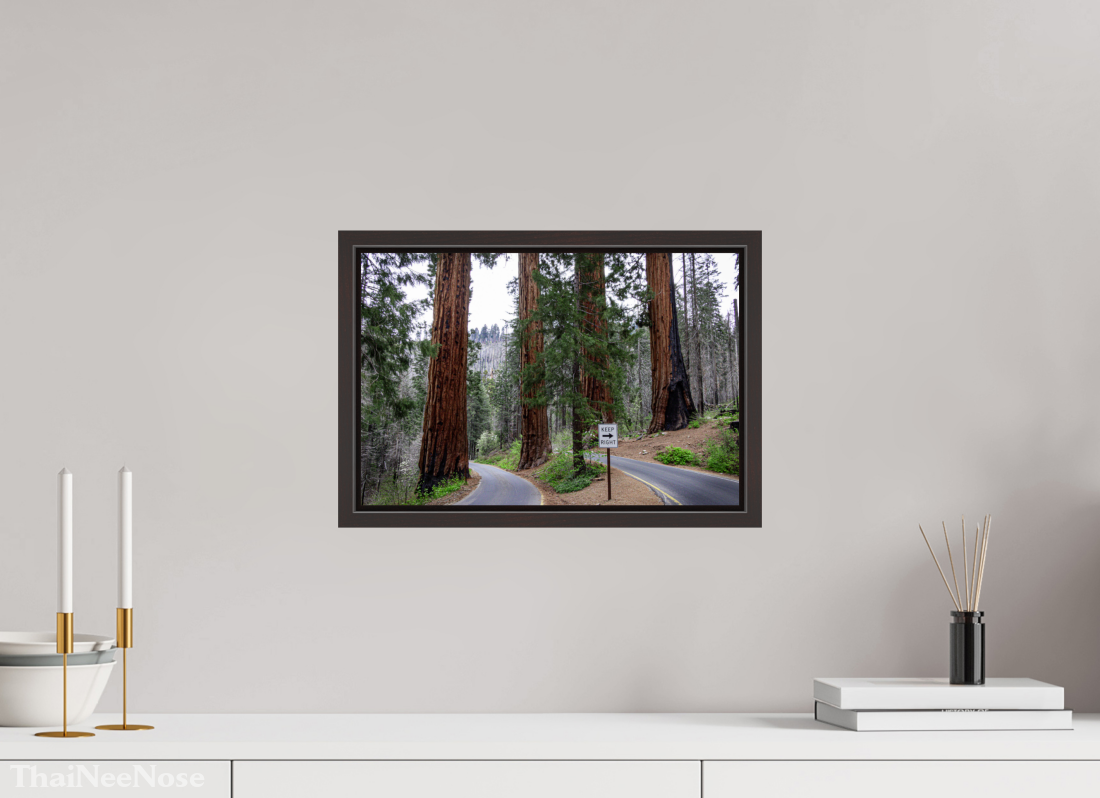 15 x 10″, Alder Brown Wooden Floater Frame Sequoia Trees