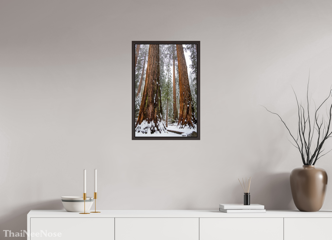 16 x 24″, Alder Brown Wooden Floater Frame Sequoia Trees