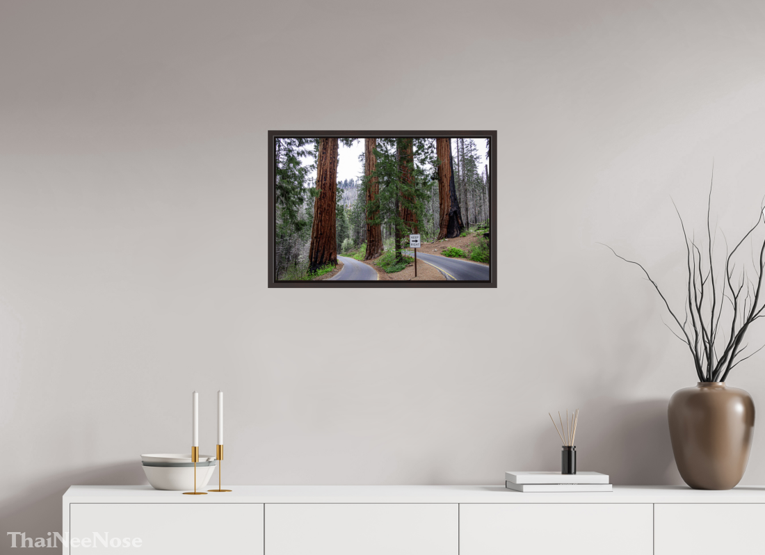 24 x 16″, Alder Brown Wooden Floater Frame Sequoia Trees