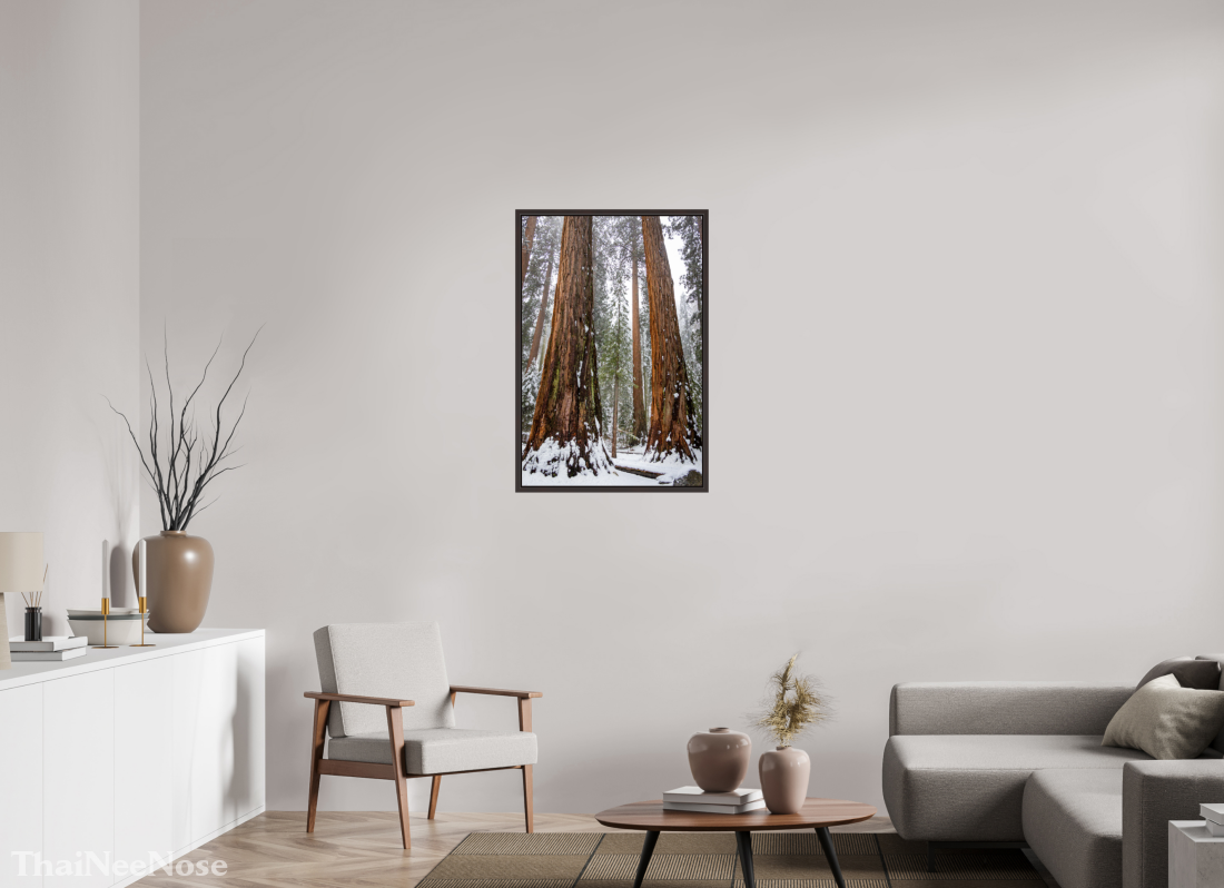 24 x 36″, Alder Brown Wooden Floater Frame Sequoia Trees