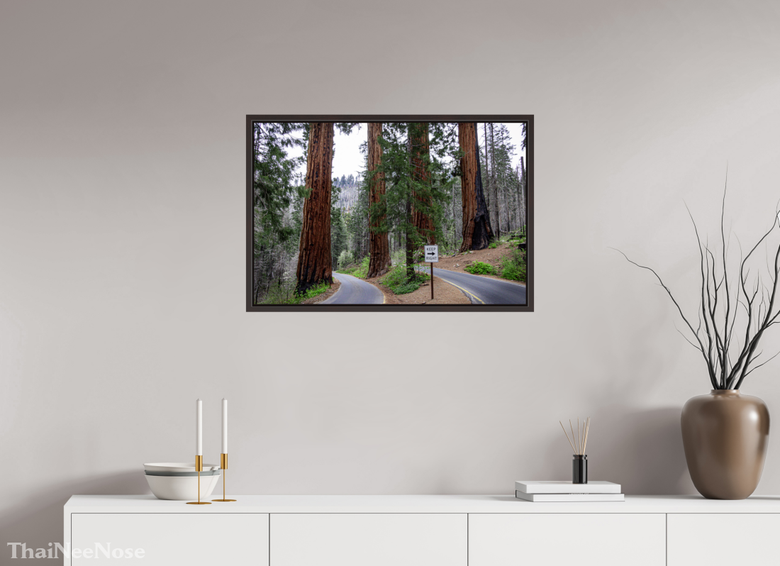 30 x 20″, Alder Brown Wooden Floater Frame Sequoia Trees