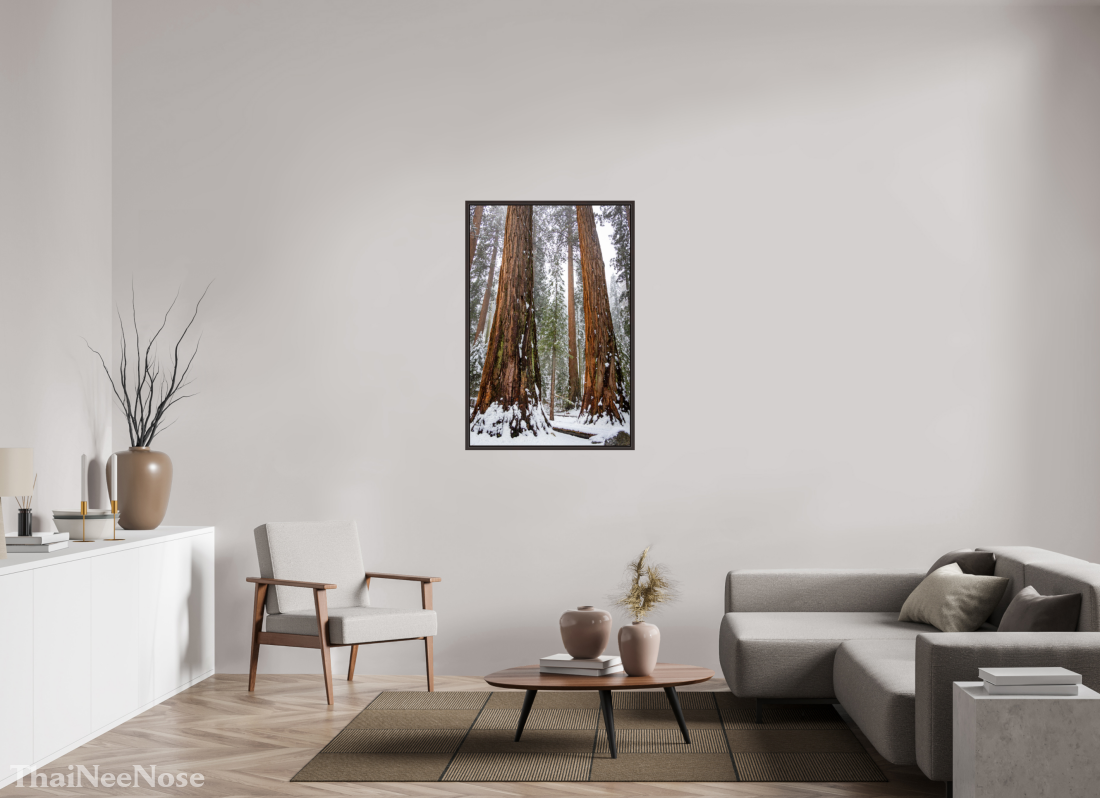 30 x 45″, Alder Brown Wooden Floater Frame Sequoia Trees
