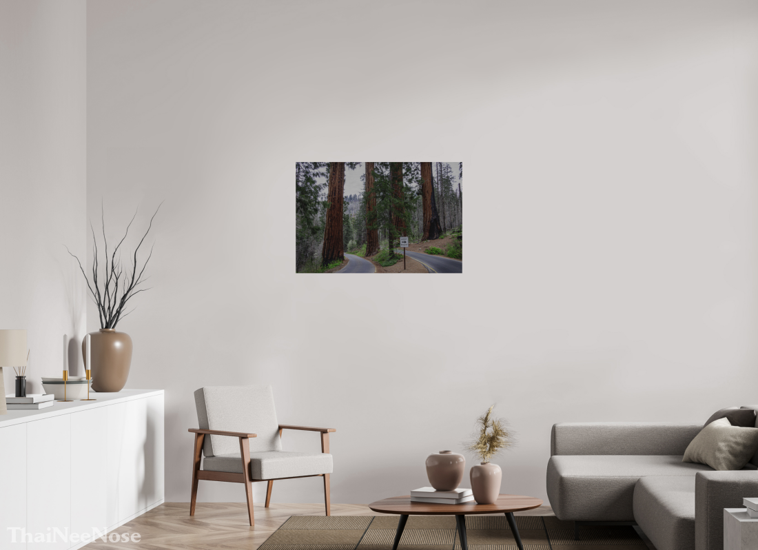 36 x 24″, Direct Print on Brushed Aluminum Sequoia Trees