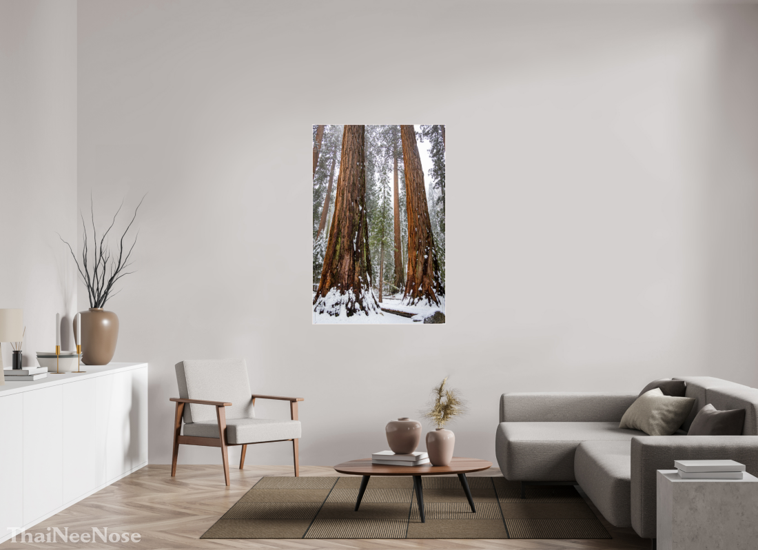 36 x 54″, Solid Wood Artbox Sequoia Trees