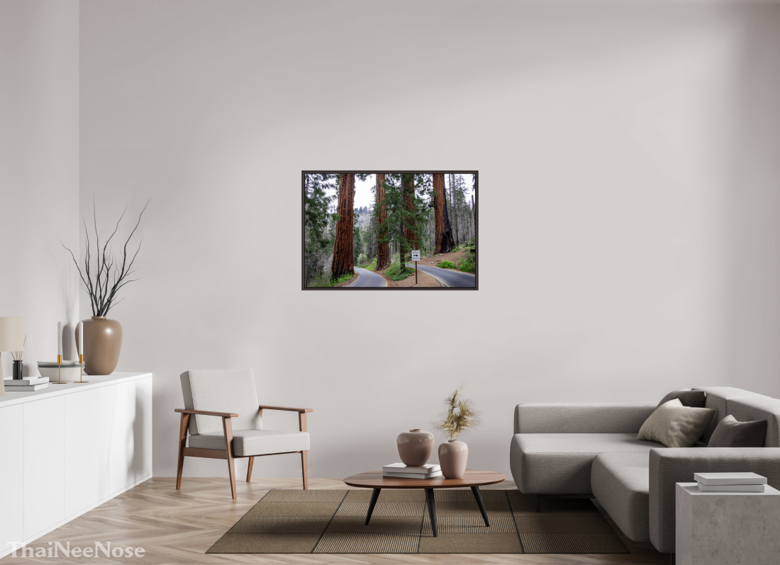45 x 30″, Alder Brown Wooden Floater Frame Sequoia Trees