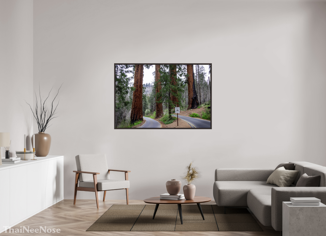 60 x 40″, Alder Brown Wooden Floater Frame Sequoia Trees