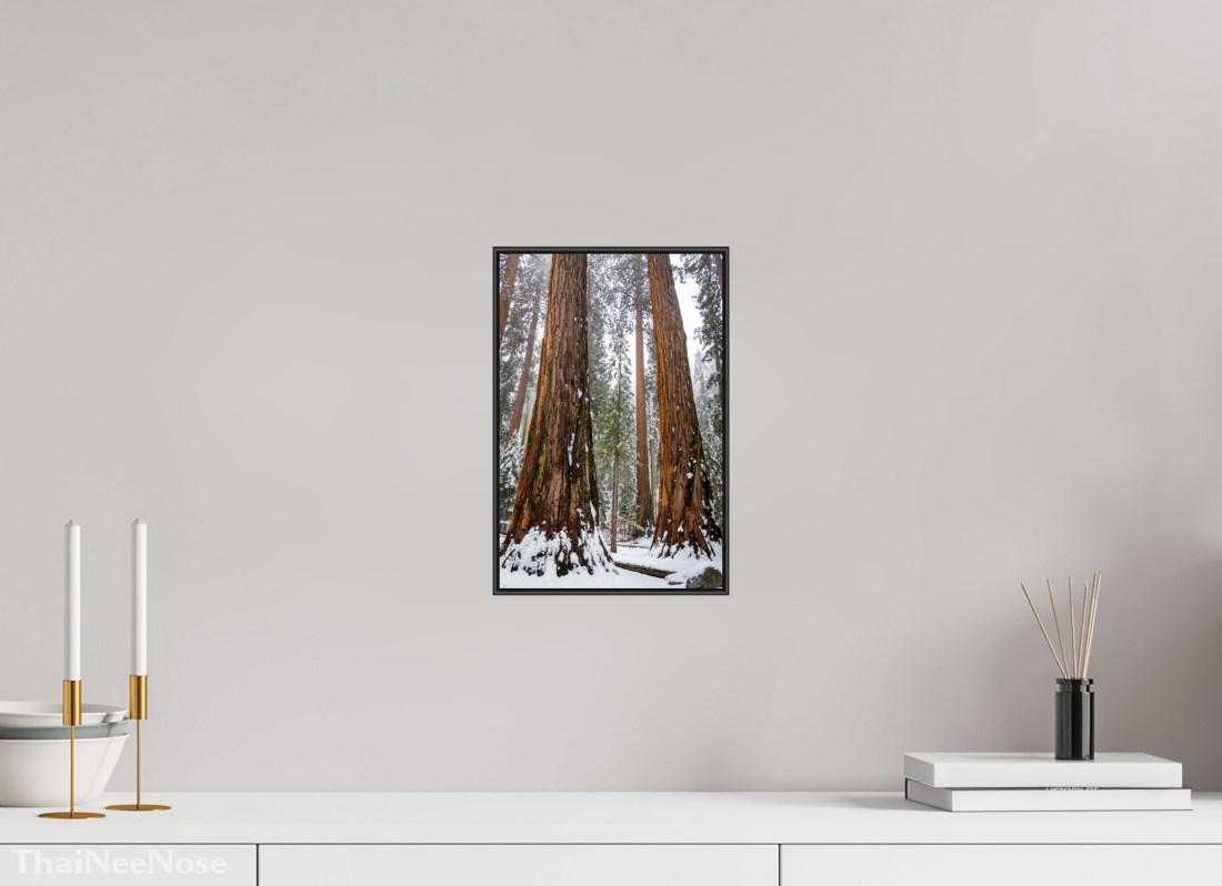 8 x 12″, Aluminium Flame under Acrylic Glass Sequoia Trees