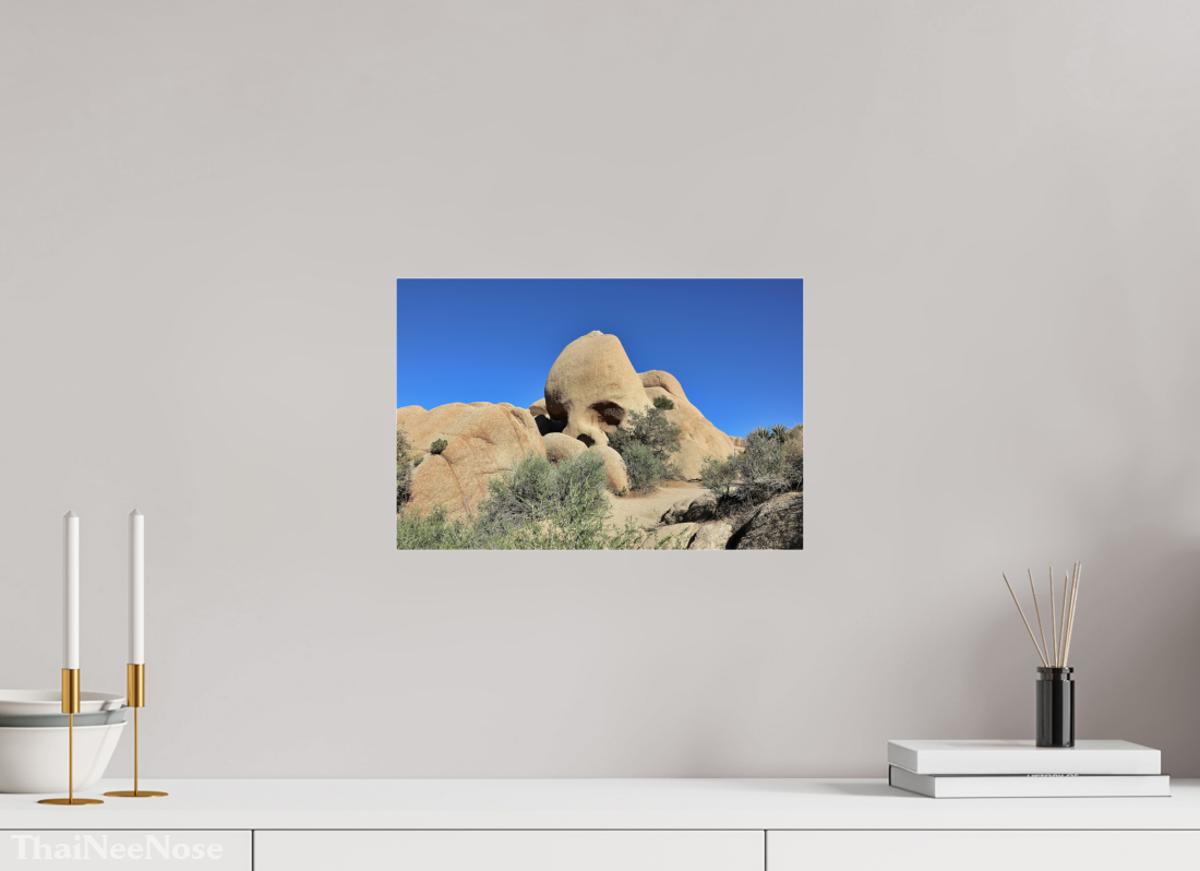 15 x 10″, Photo Print Under Acrylic Glass Skull Rock
