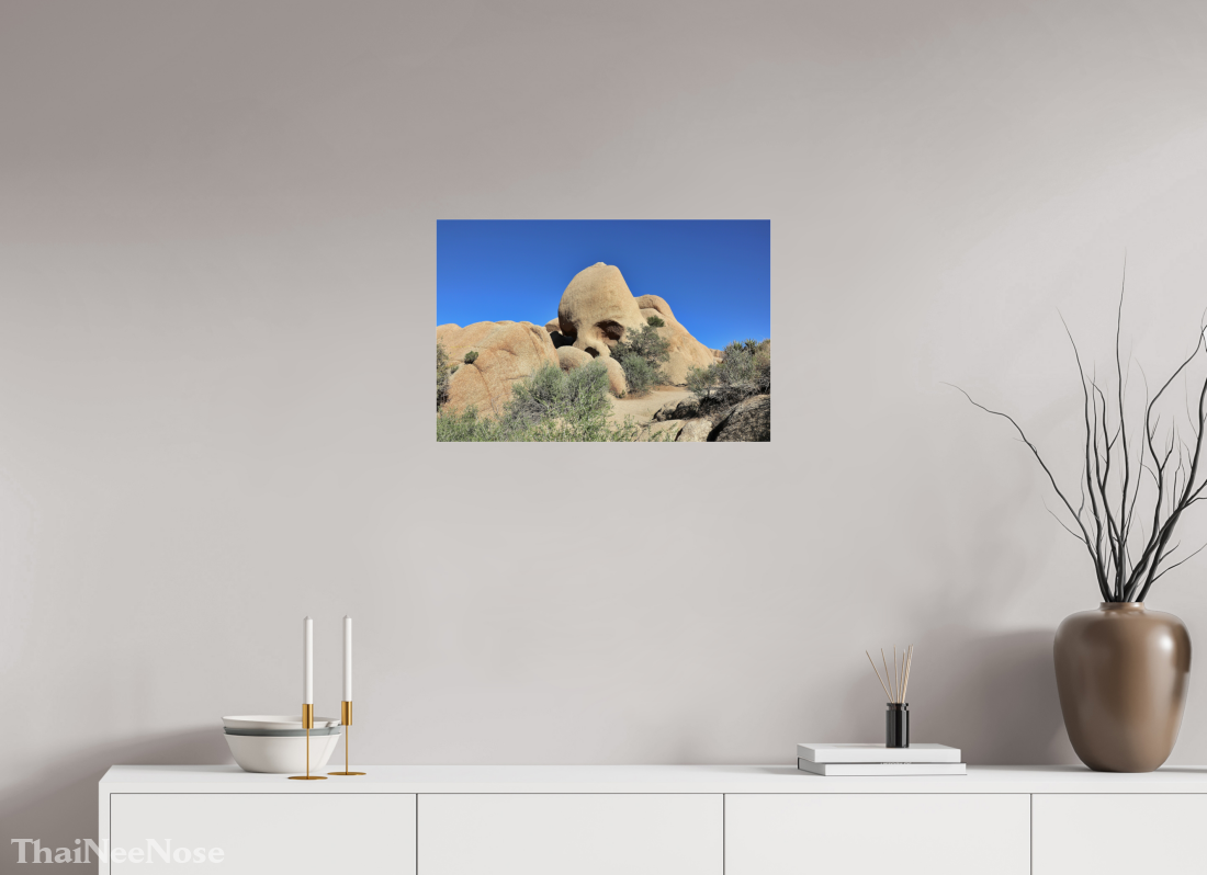 24 x 16″, Photo Print Under Acrylic Glass Skull Rock
