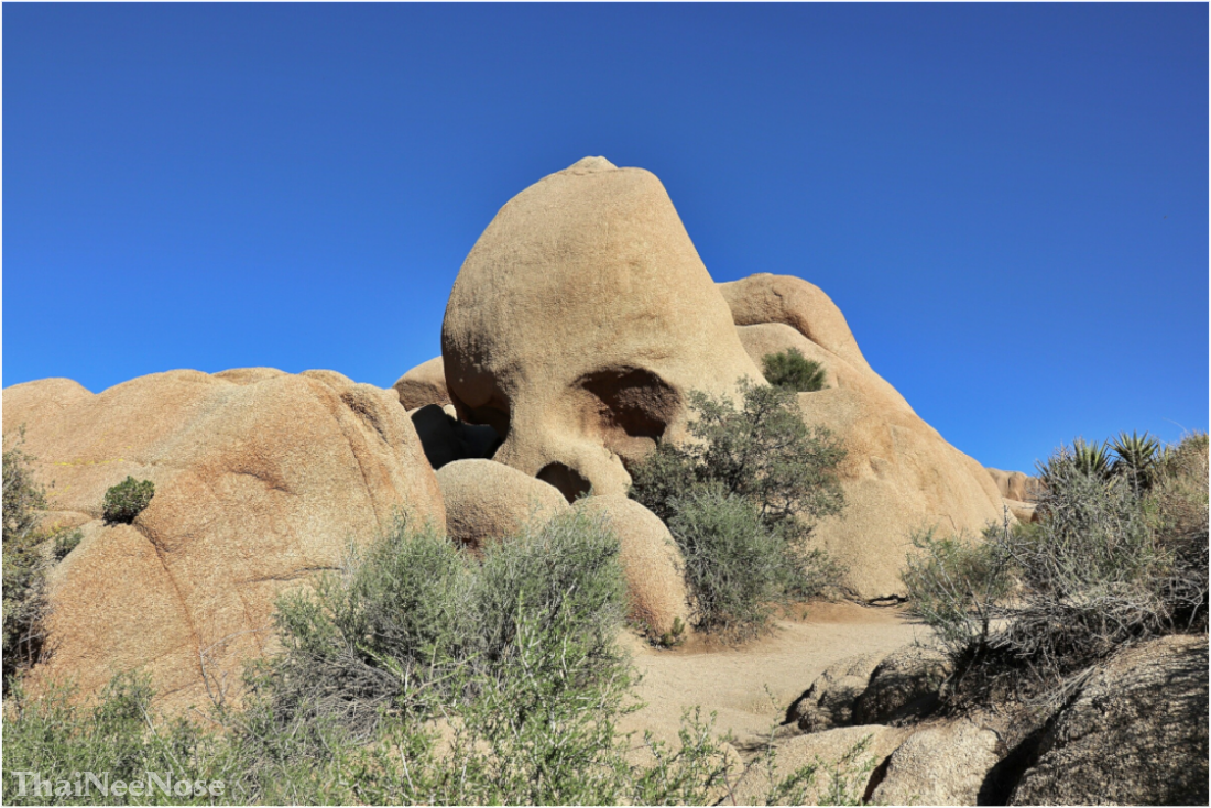 Main image Skull Rock